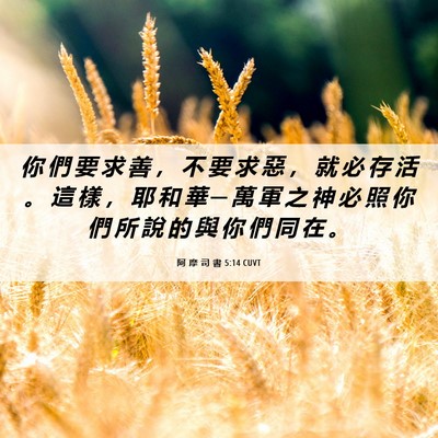 Picture 06 - 阿 摩 司 書 5:14 CUVT - 你 們 要 求 善 ， 不 要 求 惡 ， 就 - Bible Verse Picture