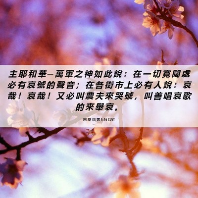 Picture 06 - 阿 摩 司 書 5:16 CUVT - 主 耶 和 華 ─ 萬 軍 之 神 如 此 說 - Bible Verse Picture