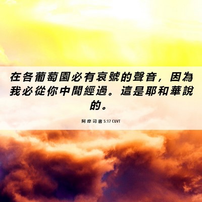Picture 06 - 阿 摩 司 書 5:17 CUVT - 在 各 葡 萄 園 必 有 哀 號 的 聲 音 - Bible Verse Picture