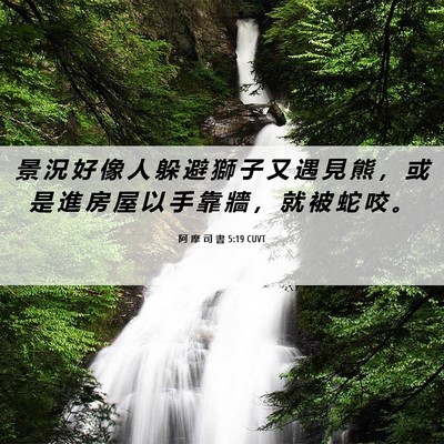 Picture 06 - 阿 摩 司 書 5:19 CUVT - 景 況 好 像 人 躲 避 獅 子 又 遇 見 - Bible Verse Picture