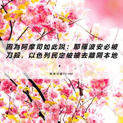 Picture 06 - 阿 摩 司 書 7:11 CUVT - 因 為 阿 摩 司 如 此 說 ： 耶 羅 波 - Bible Verse Picture