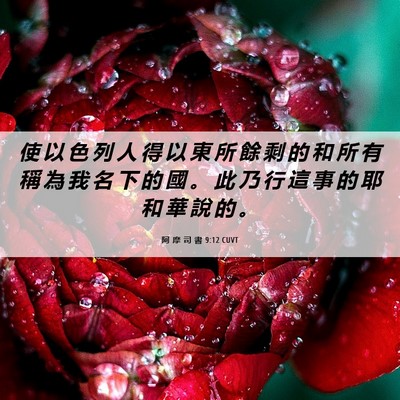 Picture 06 - 阿 摩 司 書 9:12 CUVT - 使 以 色 列 人 得 以 東 所 餘 剩 的 - Bible Verse Picture