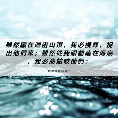Picture 06 - 阿 摩 司 書 9:3 CUVT - 雖 然 藏 在 迦 密 山 頂 ， 我 必 搜 - Bible Verse Picture