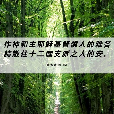 Picture 06 - 雅 各 書 1:1 CUVT - 作 神 和 主 耶 穌 基 督 僕 人 的 雅 - Bible Verse Picture