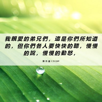 Picture 06 - 雅 各 書 1:19 CUVT - 我 親 愛 的 弟 兄 們 ， 這 是 你 們 - Bible Verse Picture