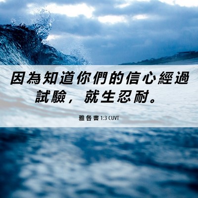 Picture 06 - 雅 各 書 1:3 CUVT - 因 為 知 道 你 們 的 信 心 經 過 試 - Bible Verse Picture