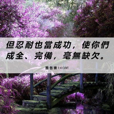 Picture 06 - 雅 各 書 1:4 CUVT - 但 忍 耐 也 當 成 功 ， 使 你 們 成 - Bible Verse Picture