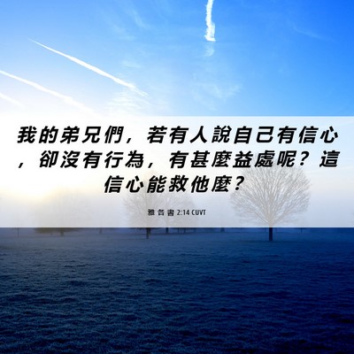 Picture 06 - 雅 各 書 2:14 CUVT - 我 的 弟 兄 們 ， 若 有 人 說 自 己 - Bible Verse Picture