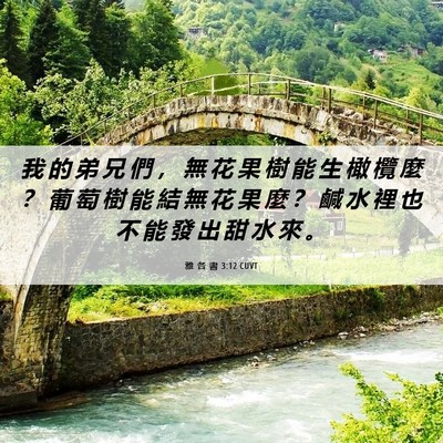 Picture 06 - 雅 各 書 3:12 CUVT - 我 的 弟 兄 們 ， 無 花 果 樹 能 生 - Bible Verse Picture