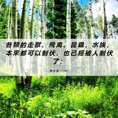 Picture 06 - 雅 各 書 3:7 CUVT - 各 類 的 走 獸 、 飛 禽 、 昆 蟲 ， - Bible Verse Picture