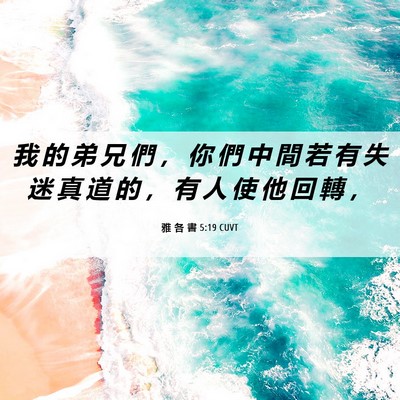 Picture 06 - 雅 各 書 5:19 CUVT - 我 的 弟 兄 們 ， 你 們 中 間 若 有 - Bible Verse Picture