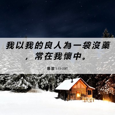 Picture 06 - 雅 歌 1:13 CUVT - 我 以 我 的 良 人 為 一 袋 沒 藥 ， - Bible Verse Picture