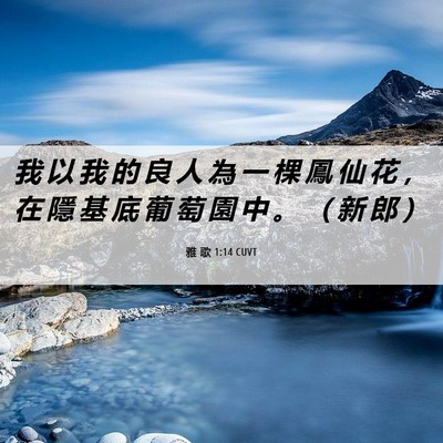 Picture 06 - 雅 歌 1:14 CUVT - 我 以 我 的 良 人 為 一 棵 鳳 仙 花 - Bible Verse Picture