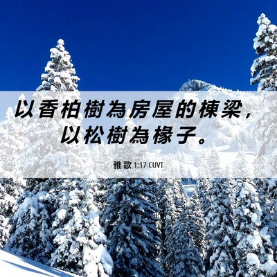 Picture 06 - 雅 歌 1:17 CUVT - 以 香 柏 樹 為 房 屋 的 棟 梁 ， 以 - Bible Verse Picture