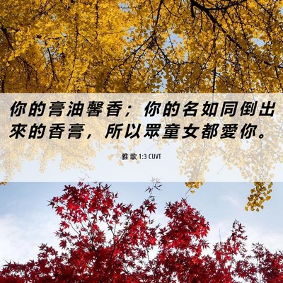 Picture 06 - 雅 歌 1:3 CUVT - 你 的 膏 油 馨 香 ； 你 的 名 如 同 - Bible Verse Picture
