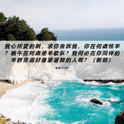 Picture 06 - 雅 歌 1:7 CUVT - 我 心 所 愛 的 啊 ， 求 你 告 訴 我 - Bible Verse Picture
