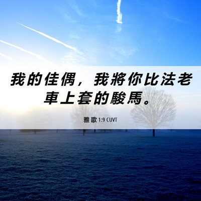Picture 06 - 雅 歌 1:9 CUVT - 我 的 佳 偶 ， 我 將 你 比 法 老 車 - Bible Verse Picture