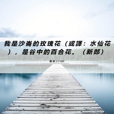 Picture 06 - 雅 歌 2:1 CUVT - 我 是 沙 崙 的 玫 瑰 花 （ 或 譯 ： - Bible Verse Picture