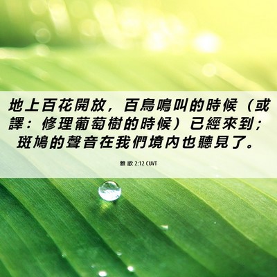 Picture 06 - 雅 歌 2:12 CUVT - 地 上 百 花 開 放 ， 百 鳥 鳴 叫 的 - Bible Verse Picture