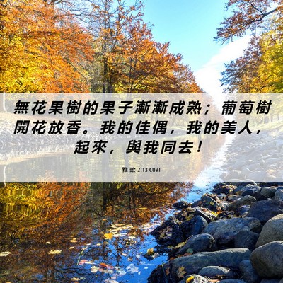 Picture 06 - 雅 歌 2:13 CUVT - 無 花 果 樹 的 果 子 漸 漸 成 熟 ； - Bible Verse Picture