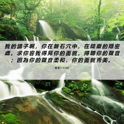 Picture 06 - 雅 歌 2:14 CUVT - 我 的 鴿 子 啊 ， 你 在 磐 石 穴 中 - Bible Verse Picture