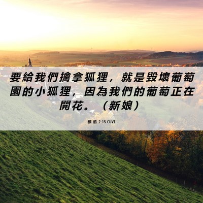 Picture 06 - 雅 歌 2:15 CUVT - 要 給 我 們 擒 拿 狐 狸 ， 就 是 毀 - Bible Verse Picture