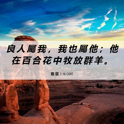 Picture 06 - 雅 歌 2:16 CUVT - 良 人 屬 我 ， 我 也 屬 他 ； 他 在 - Bible Verse Picture