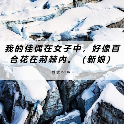 Picture 06 - 雅 歌 2:2 CUVT - 我 的 佳 偶 在 女 子 中 ， 好 像 百 - Bible Verse Picture