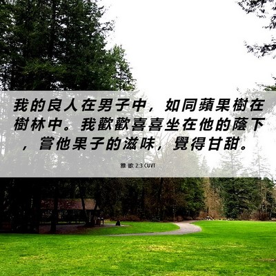 Picture 06 - 雅 歌 2:3 CUVT - 我 的 良 人 在 男 子 中 ， 如 同 蘋 - Bible Verse Picture