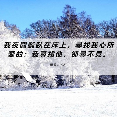 Picture 06 - 雅 歌 3:1 CUVT - 我 夜 間 躺 臥 在 床 上 ， 尋 找 我 - Bible Verse Picture