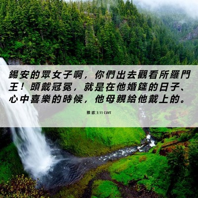 Picture 06 - 雅 歌 3:11 CUVT - 錫 安 的 眾 女 子 啊 ， 你 們 出 去 - Bible Verse Picture
