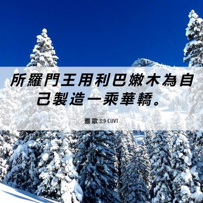 Picture 06 - 雅 歌 3:9 CUVT - 所 羅 門 王 用 利 巴 嫩 木 為 自 己 - Bible Verse Picture