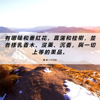Picture 06 - 雅 歌 4:14 CUVT - 有 哪 噠 和 番 紅 花 ， 菖 蒲 和 桂 - Bible Verse Picture