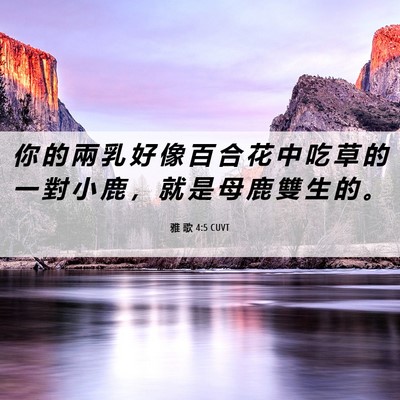 Picture 06 - 雅 歌 4:5 CUVT - 你 的 兩 乳 好 像 百 合 花 中 吃 草 - Bible Verse Picture