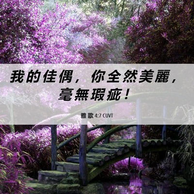 Picture 06 - 雅 歌 4:7 CUVT - 我 的 佳 偶 ， 你 全 然 美 麗 ， 毫 - Bible Verse Picture