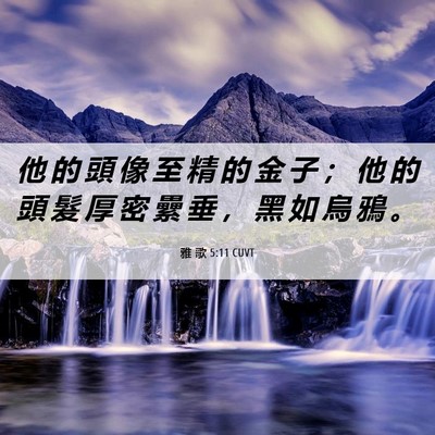 Picture 06 - 雅 歌 5:11 CUVT - 他 的 頭 像 至 精 的 金 子 ； 他 的 - Bible Verse Picture