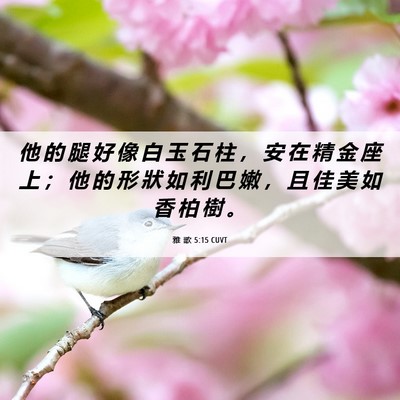 Picture 06 - 雅 歌 5:15 CUVT - 他 的 腿 好 像 白 玉 石 柱 ， 安 在 - Bible Verse Picture