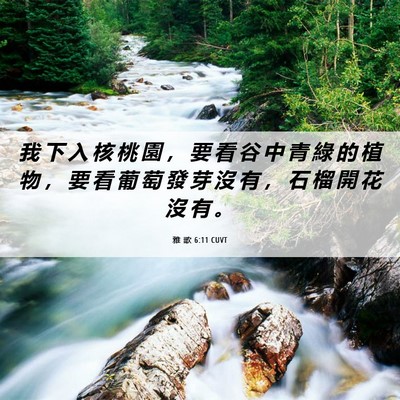 Picture 06 - 雅 歌 6:11 CUVT - 我 下 入 核 桃 園 ， 要 看 谷 中 青 - Bible Verse Picture