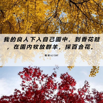 Picture 06 - 雅 歌 6:2 CUVT - 我 的 良 人 下 入 自 己 園 中 ， 到 - Bible Verse Picture
