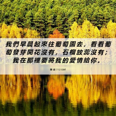 Picture 06 - 雅 歌 7:12 CUVT - 我 們 早 晨 起 來 往 葡 萄 園 去 ， - Bible Verse Picture