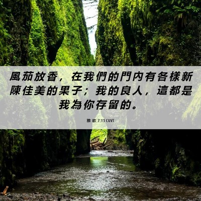 Picture 06 - 雅 歌 7:13 CUVT - 風 茄 放 香 ， 在 我 們 的 門 內 有 - Bible Verse Picture