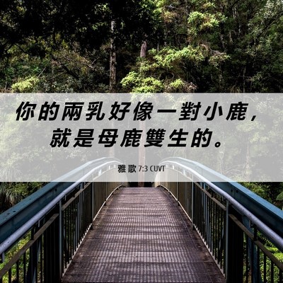 Picture 06 - 雅 歌 7:3 CUVT - 你 的 兩 乳 好 像 一 對 小 鹿 ， 就 - Bible Verse Picture