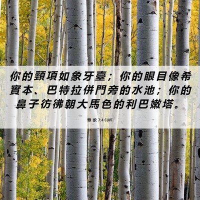Picture 06 - 雅 歌 7:4 CUVT - 你 的 頸 項 如 象 牙 臺 ； 你 的 眼 - Bible Verse Picture