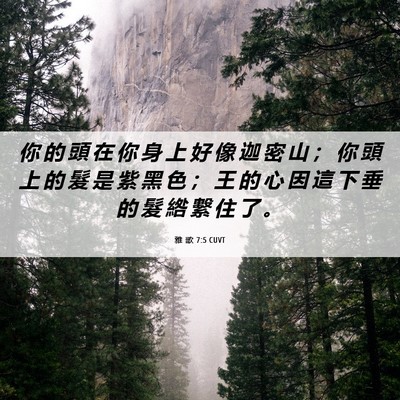 Picture 06 - 雅 歌 7:5 CUVT - 你 的 頭 在 你 身 上 好 像 迦 密 山 - Bible Verse Picture