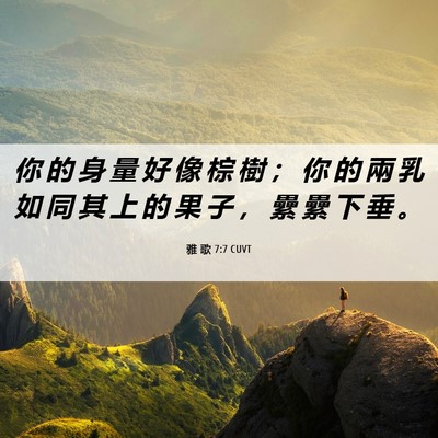 Picture 06 - 雅 歌 7:7 CUVT - 你 的 身 量 好 像 棕 樹 ； 你 的 兩 - Bible Verse Picture
