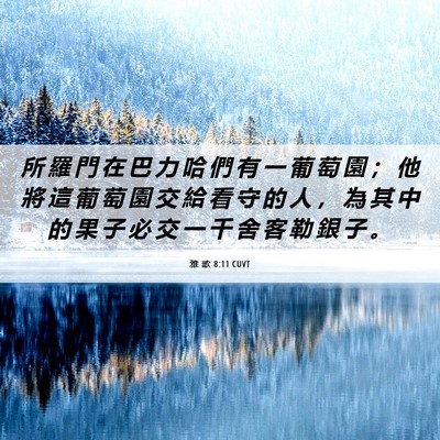 Picture 06 - 雅 歌 8:11 CUVT - 所 羅 門 在 巴 力 哈 們 有 一 葡 萄 - Bible Verse Picture