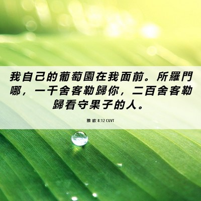 Picture 06 - 雅 歌 8:12 CUVT - 我 自 己 的 葡 萄 園 在 我 面 前 。 - Bible Verse Picture
