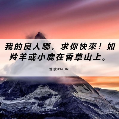 Picture 06 - 雅 歌 8:14 CUVT - 我 的 良 人 哪 ， 求 你 快 來 ！ 如 - Bible Verse Picture