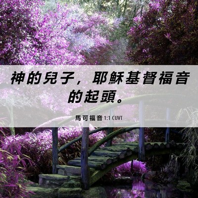 Picture 06 - 馬 可 福 音 1:1 CUVT - 神 的 兒 子 ， 耶 穌 基 督 福 音 的 - Bible Verse Picture