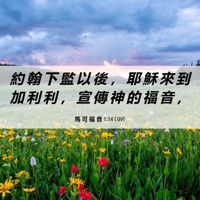 Picture 06 - 馬 可 福 音 1:14 CUVT - 約 翰 下 監 以 後 ， 耶 穌 來 到 加 - Bible Verse Picture
